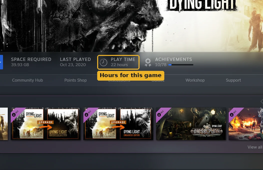 Steam library page for Dying Light with the Play Time box highlighted, showing 22 hours